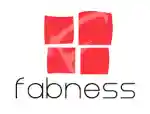 Fabness Coupon Code